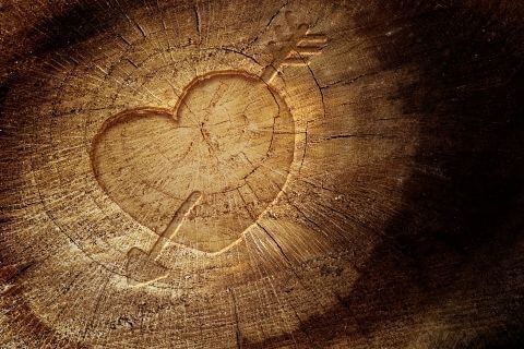 Фотошпалери Фони та текстури Дерево Серце на дереві