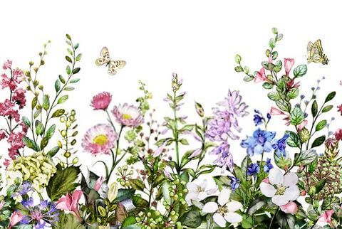 Фотообои Природа Весна Цветы и бабочки