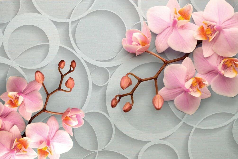 Фотошпалери Рожеві орхідеї, тематика: Стереоскопічні шпалери