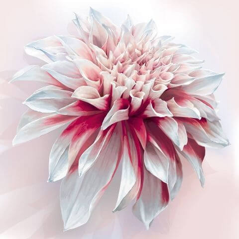 Фотошпалери 3D фотошпалери 3D квіти Абстрактна 3д квітка