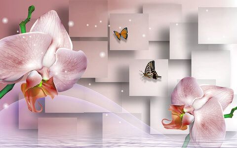 Фотообои 3D фотообои 3Д орхидеи Розовые орхидеи