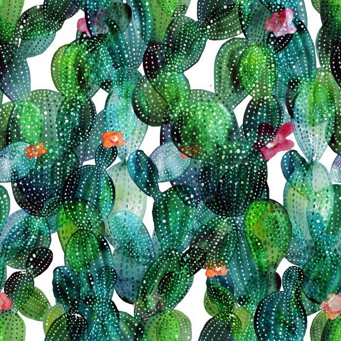 Фотошпалери Квітучі кактуси, тематика: Шпалери в коридор