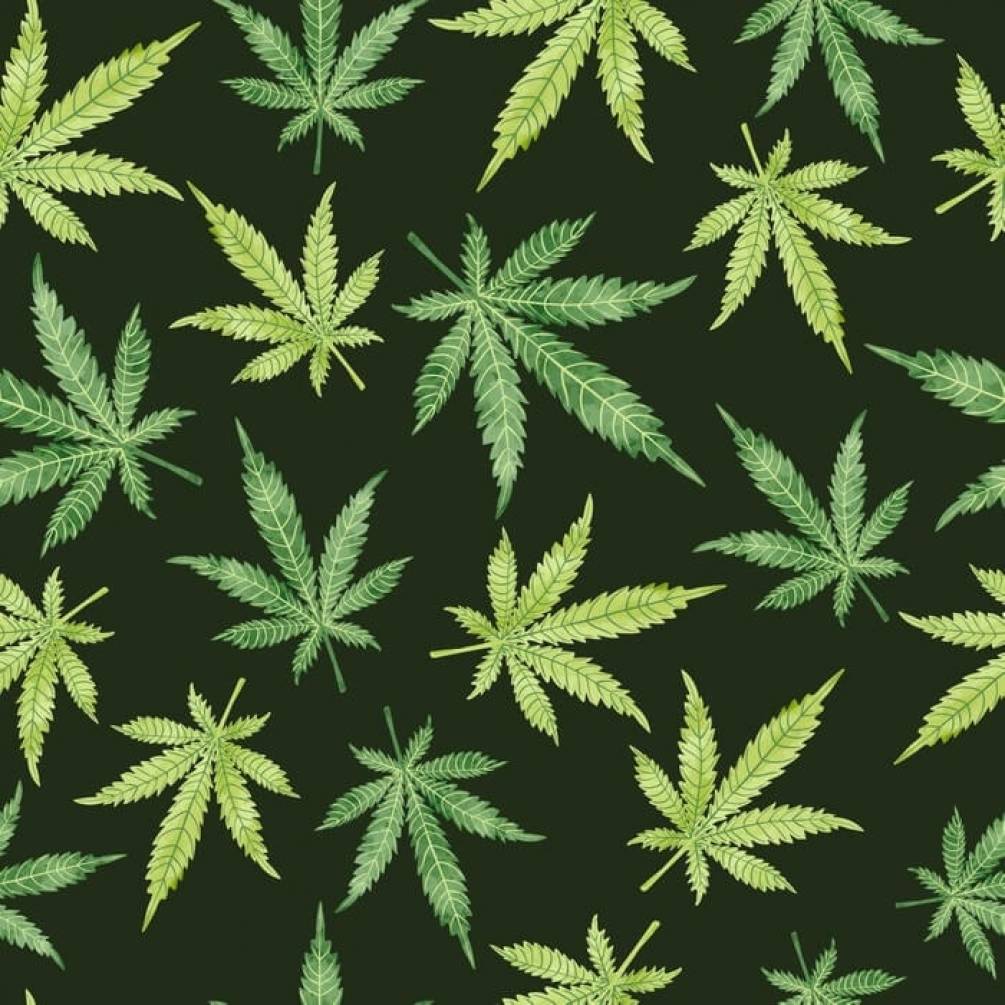 Обои листья марихуаны зайти в браузер тор hidra